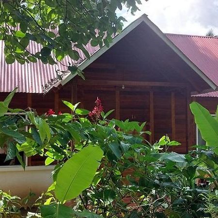 Cabanas Yax-Ha Arroyo Agua Azul Exterior photo